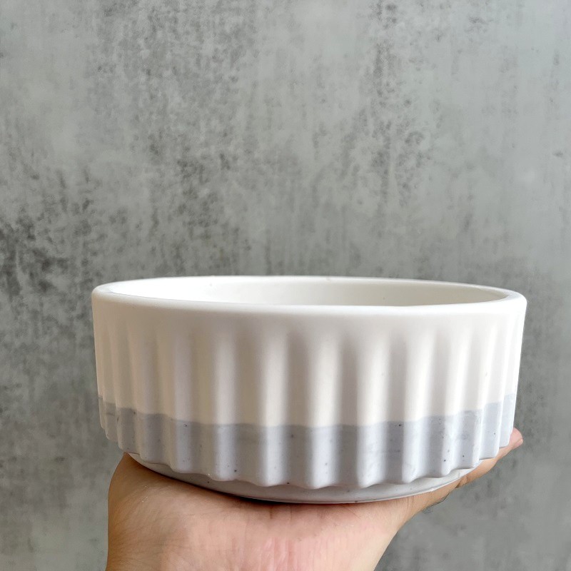 Stripe Flowerpot Silicone Mold - Echeveria Succulent reseña y precio