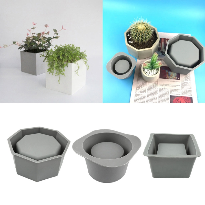 Handmade Succulent Planter Flo - Echeveria Succulent reseña y precio