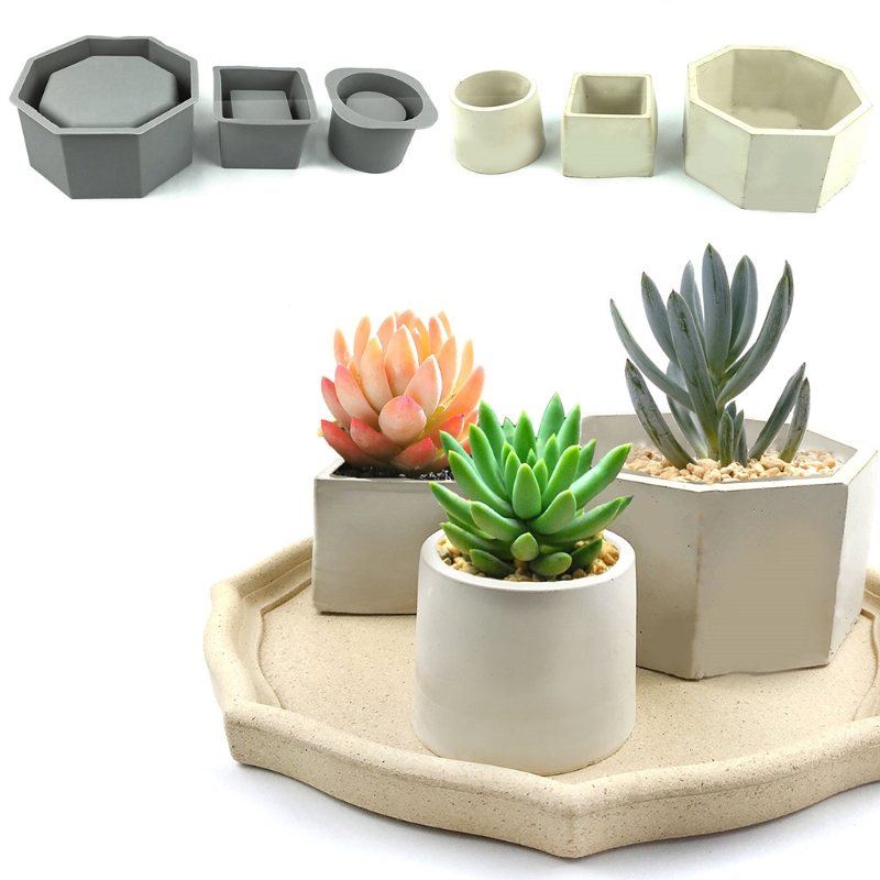 Handmade Succulent Planter Flo - Echeveria Succulent reseña y precio