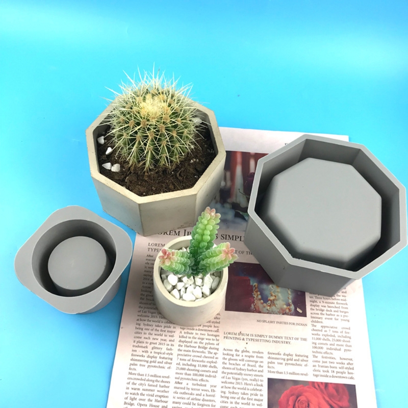Handmade Succulent Planter Flo - Echeveria Succulent reseña y precio