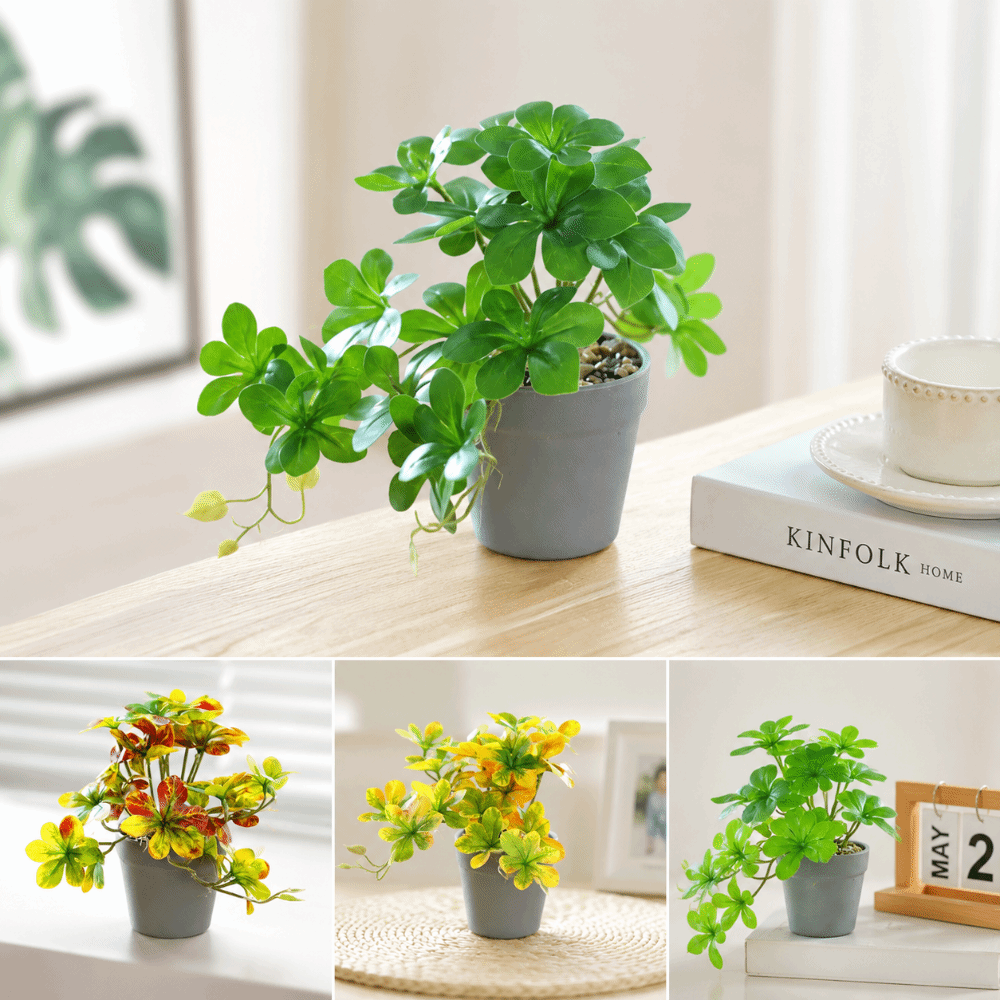 Bonsai Artificial Bonsai Plant - Spider Plant Hanging reseña y precio