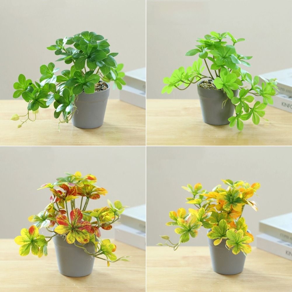 Bonsai Artificial Bonsai Plant - Spider Plant Hanging reseña y precio