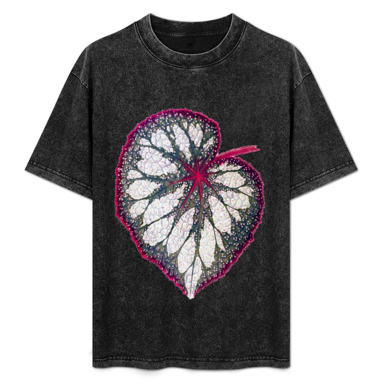 Begonia rex T-Shirt Holiday Si - Begonia Rex reseña y precio