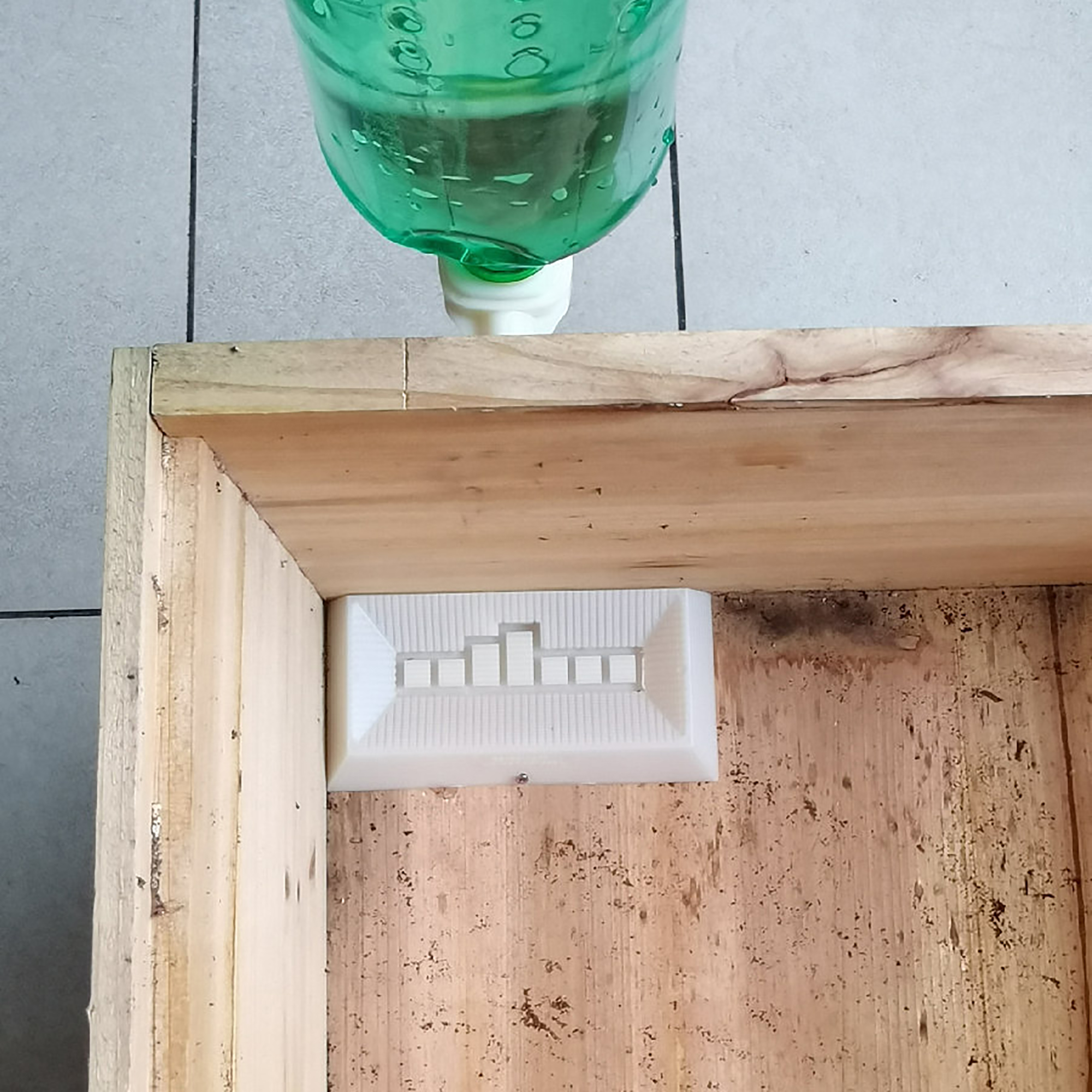 2Pcs Automatic Feeding Drinker - Begonia Rex reseña y precio