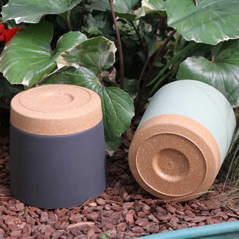 Plant POTS, lightweight large  - Pilea Peperomioides reseña y precio