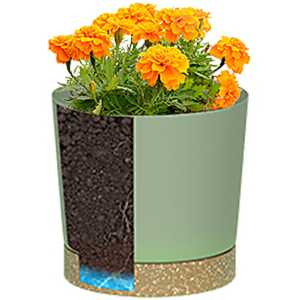 Plant POTS, lightweight large  - Pilea Peperomioides reseña y precio