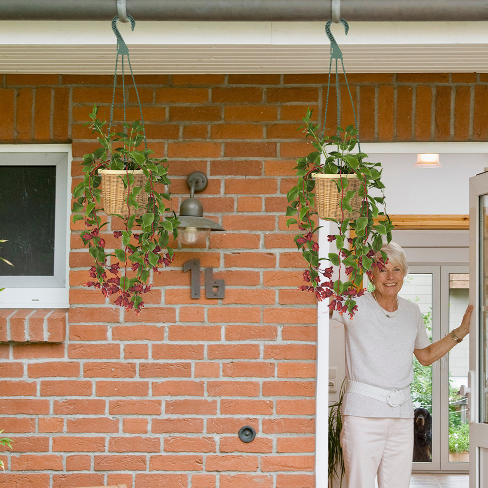 5Pcs Heavy Duty Hanging Basket - Spider Plant Hanging reseña y precio