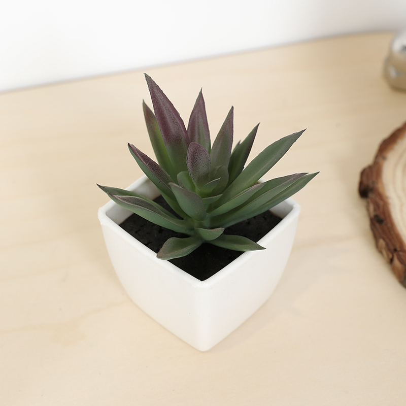 Mini Artificial Succulent Fair - Echeveria Succulent reseña y precio