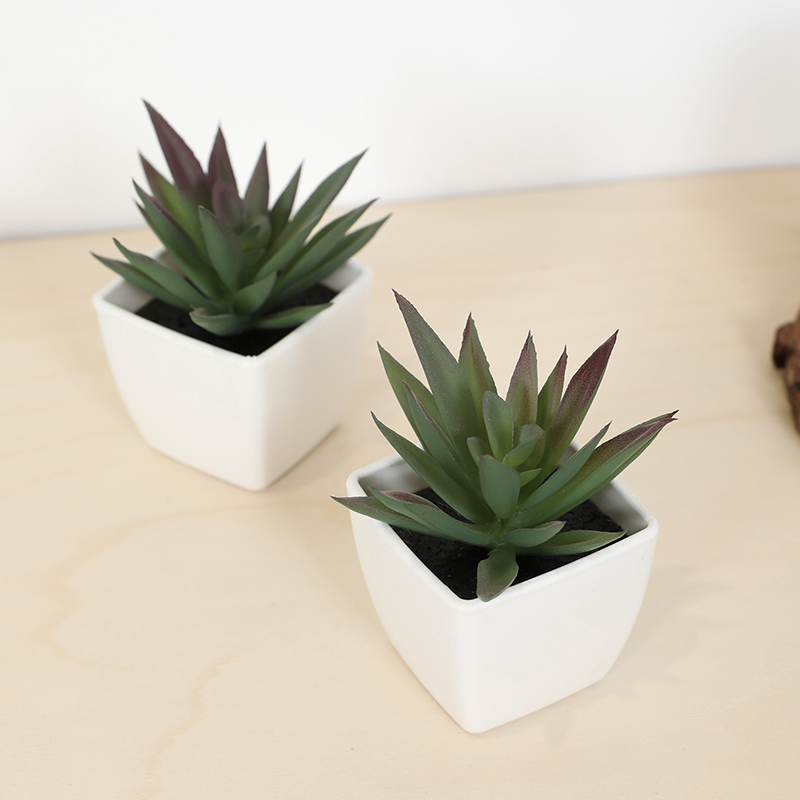 Mini Artificial Succulent Fair - Echeveria Succulent reseña y precio