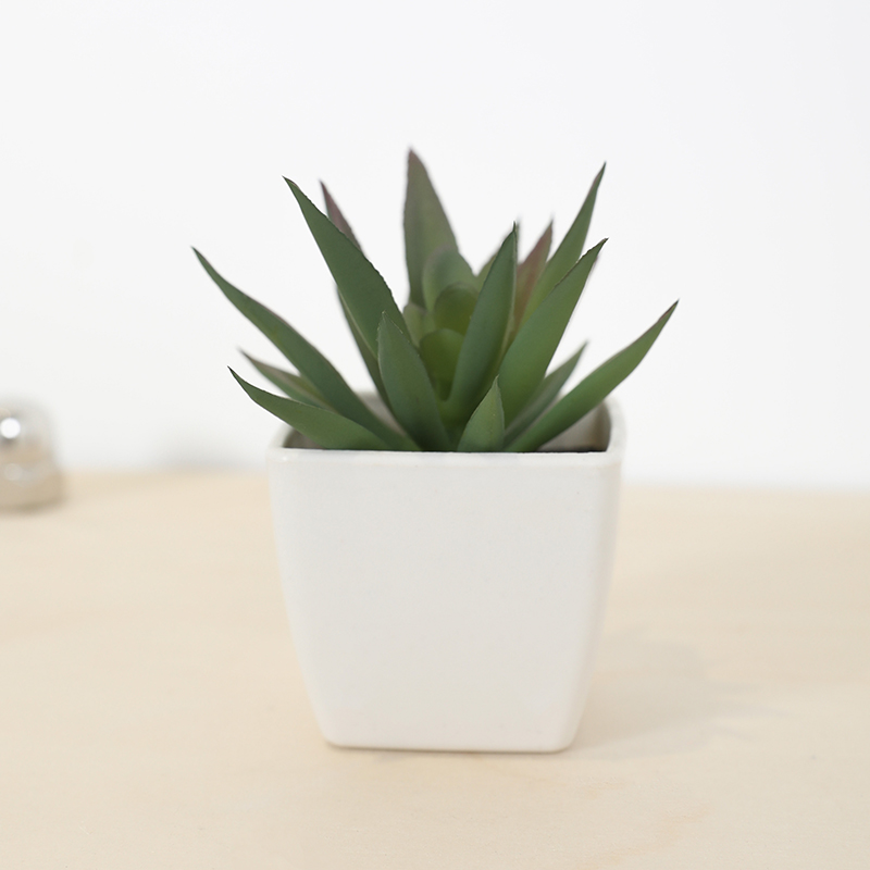 Mini Artificial Succulent Fair - Echeveria Succulent reseña y precio