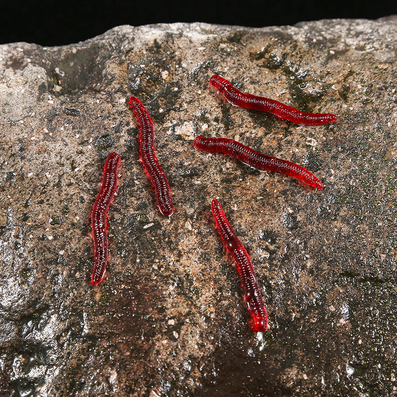 CIBO 50pcs-Artificial Red Worm - Aglaonema Red reseña y precio