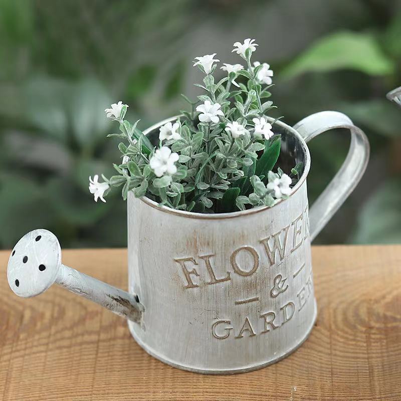 Barrels Garden Decoration Tin  - Pilea Peperomioides reseña y precio