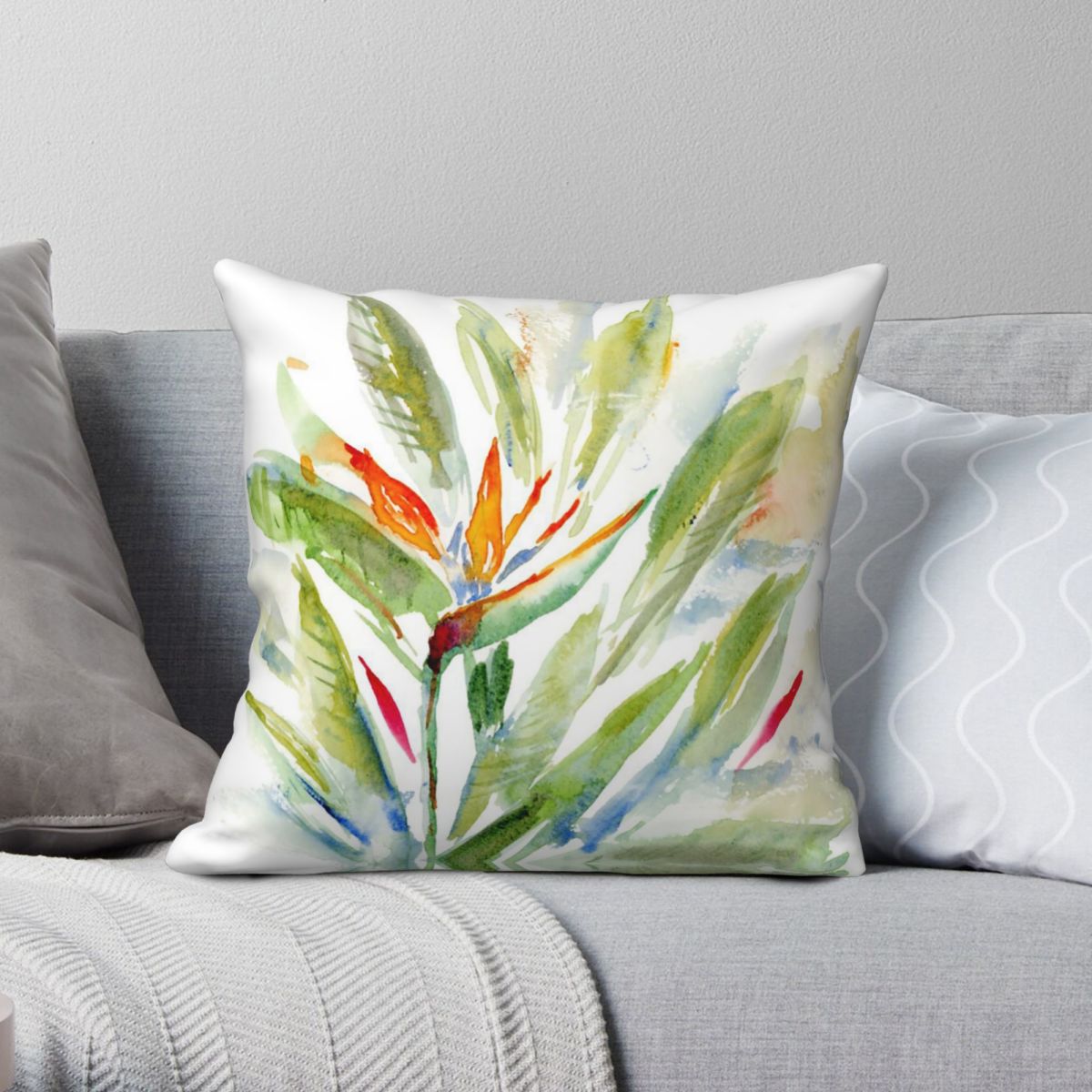 Bird Of Paradise Strelitzia Sq - Bird Paradise Strelitzia reseña y precio