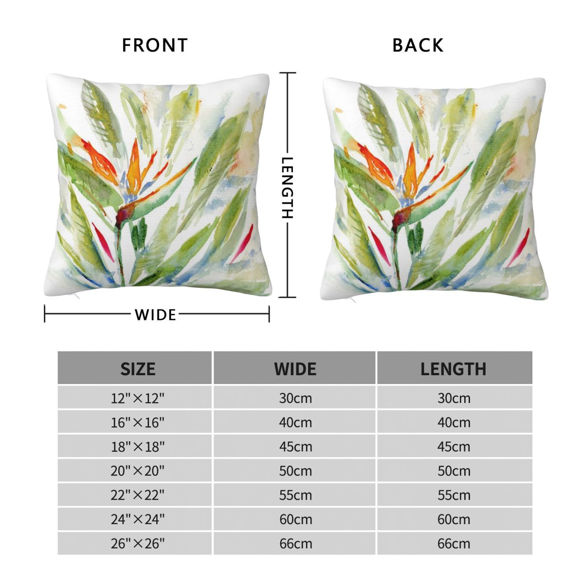 Bird Of Paradise Strelitzia Sq - Bird Paradise Strelitzia reseña y precio