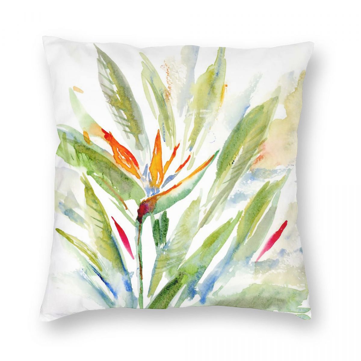 Bird Of Paradise Strelitzia Sq - Bird Paradise Strelitzia reseña y precio