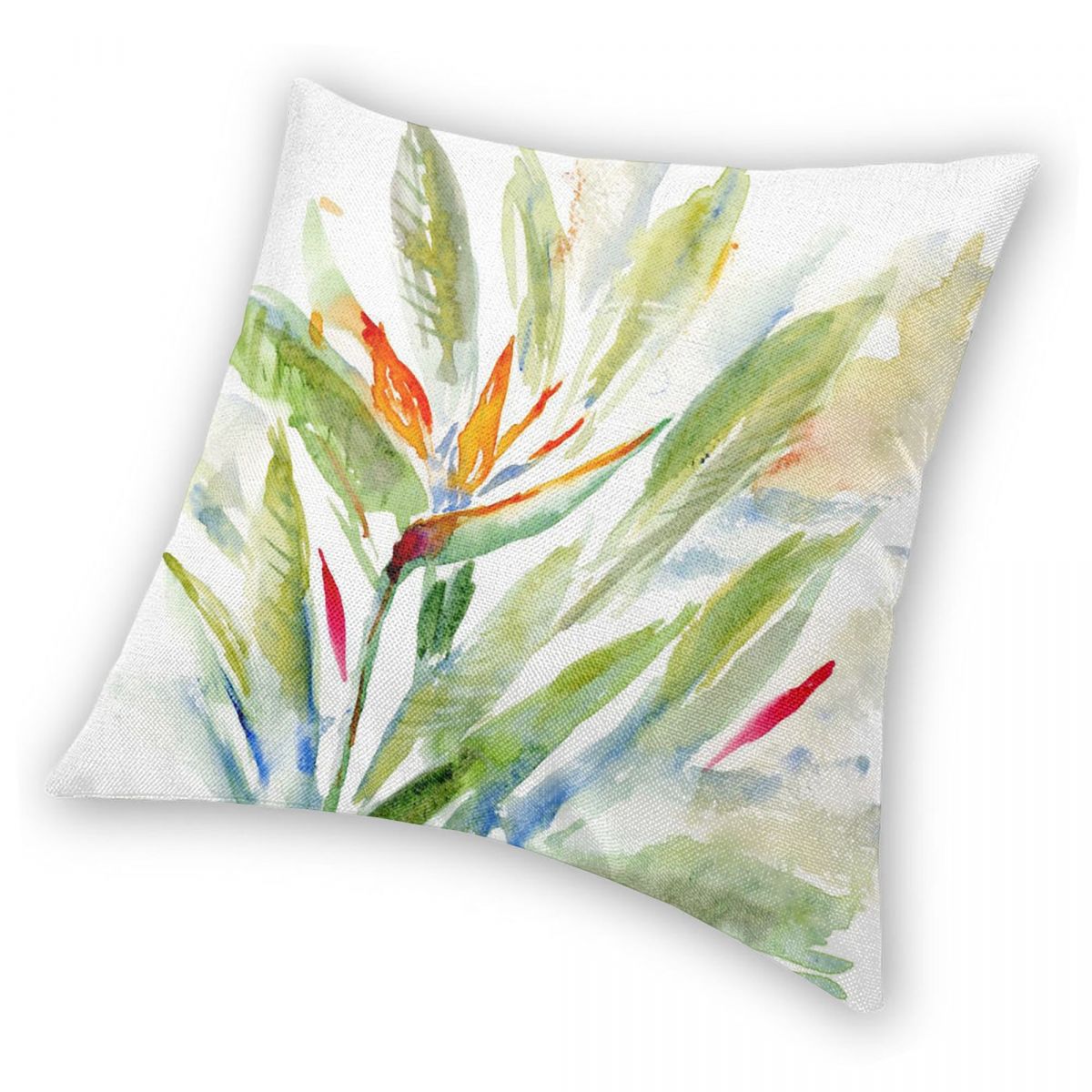 Bird Of Paradise Strelitzia Sq - Bird Paradise Strelitzia reseña y precio