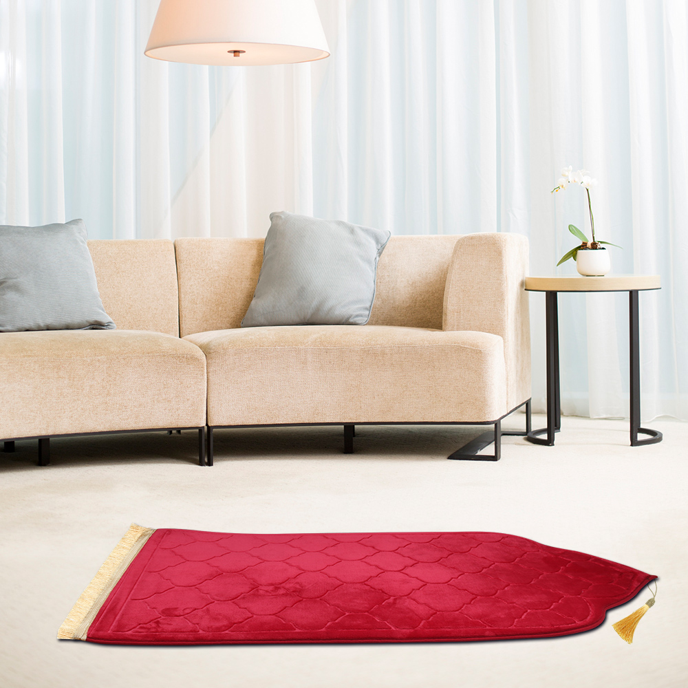 Soft Worship Kneel Travel Pray - Maranta Prayer Plant reseña y precio