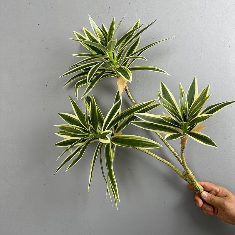 Simulated Green Plants 3 Heads - Dracaena Marginata reseña y precio