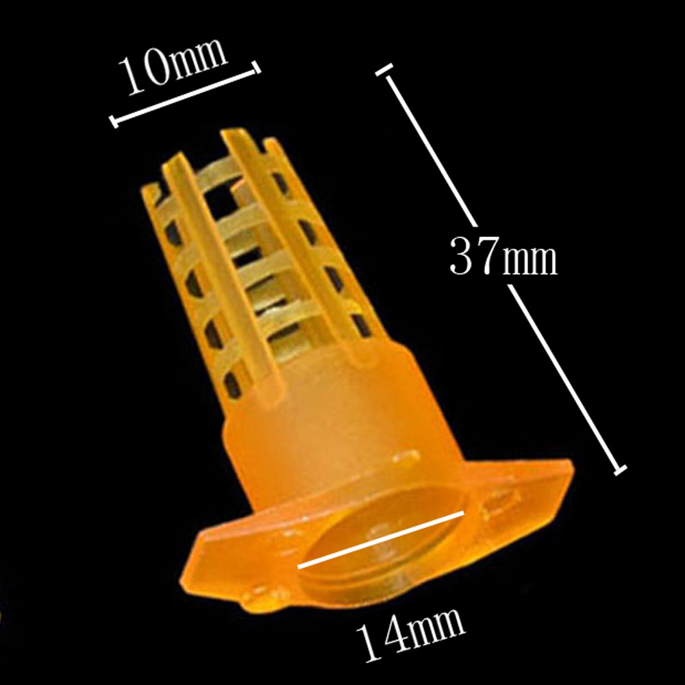 20 pcs Plastic Bee Queen Cage  - Begonia Rex reseña y precio