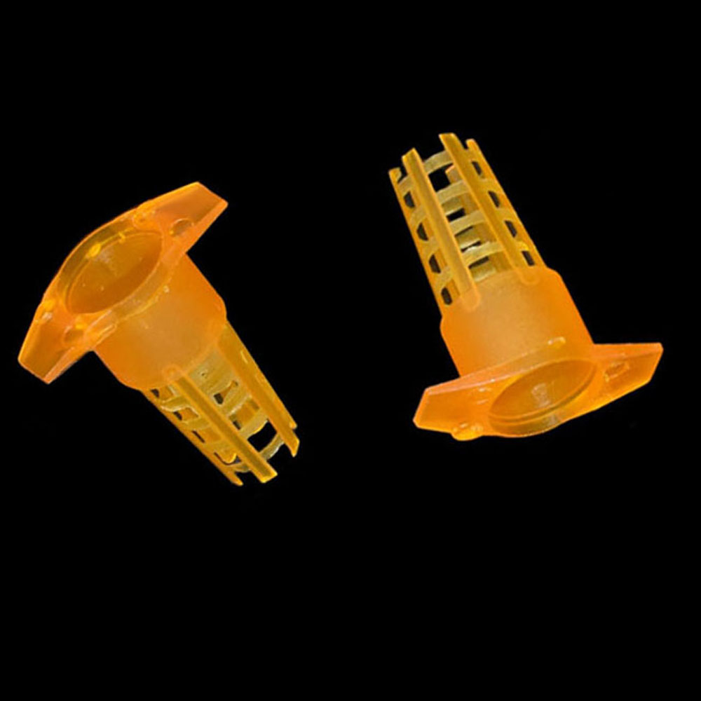 20 pcs Plastic Bee Queen Cage  - Begonia Rex reseña y precio