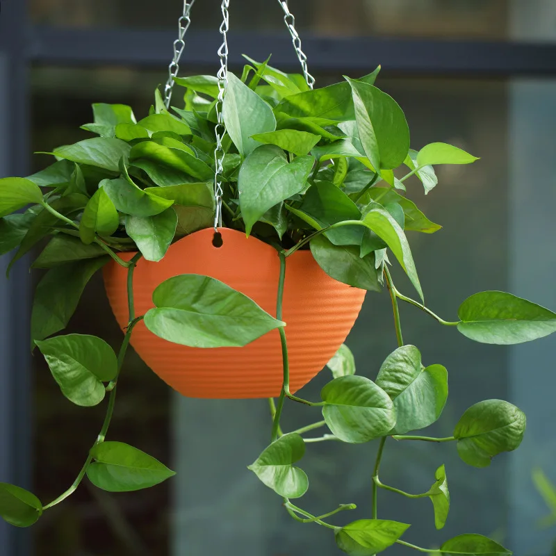 Plastic hanging basket flower  - Spider Plant Hanging reseña y precio