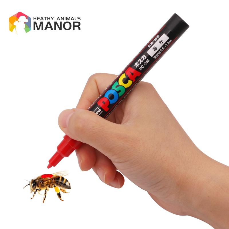 1Pcs Beekeeping Mark Pen Queen - Begonia Rex reseña y precio